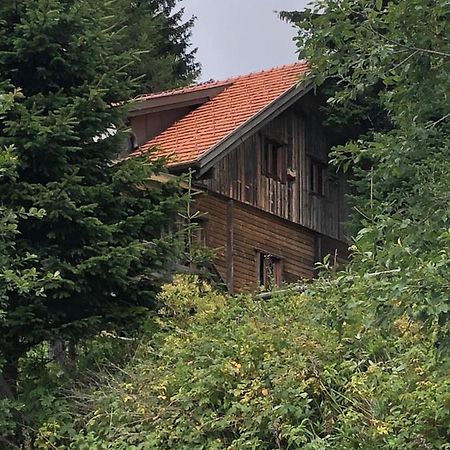 Haus Hanna Wolfsberg Exterior foto